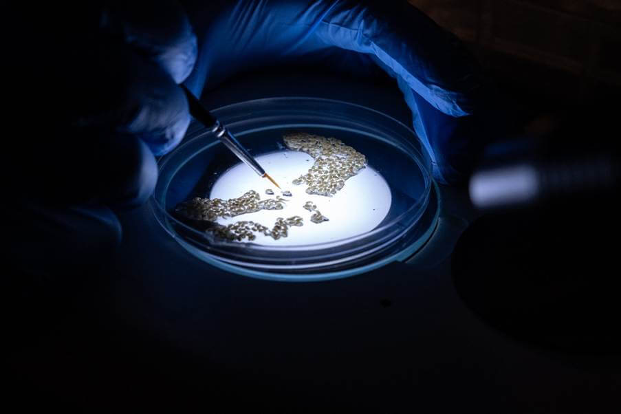 Target Malaria; How Malaria innovation is researched, assessed and Tested