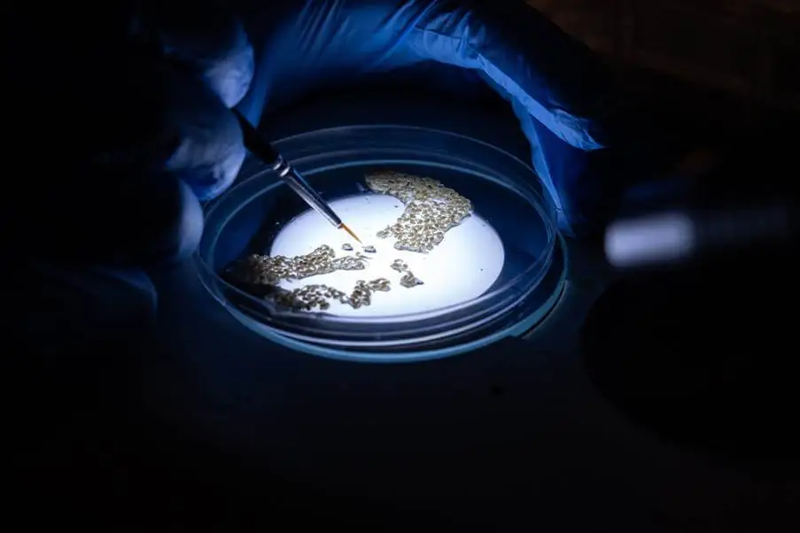 Target Malaria; How Malaria innovation is researched, assessed and Tested