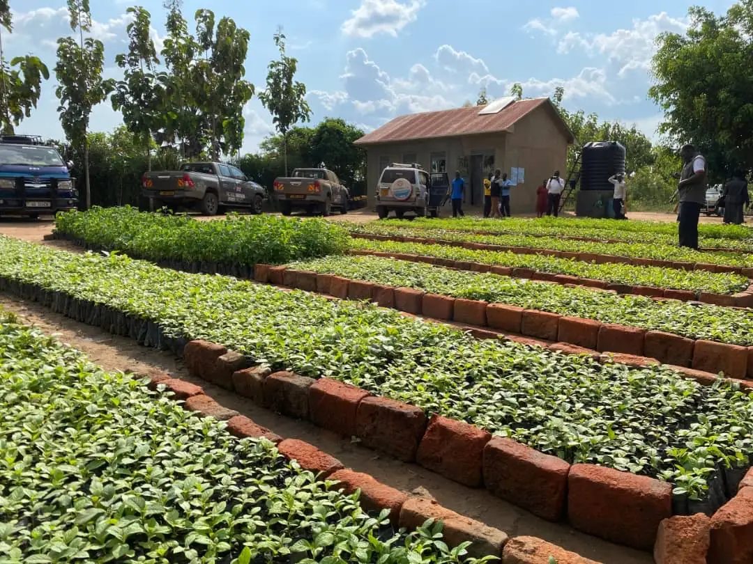 TASLL Project Supports Agribusinesses in Rural Northern Uganda
